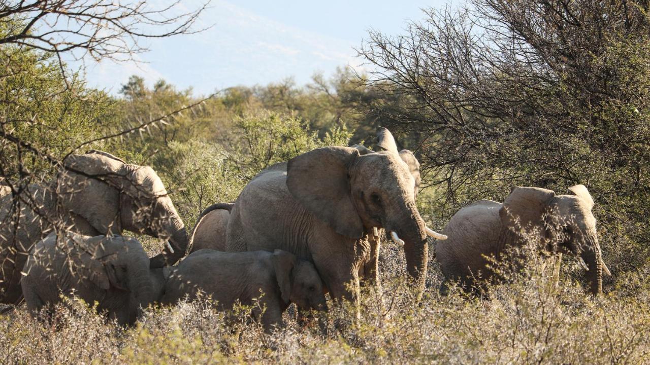 Mount Camdeboo Private Game Reserve By Newmark Храфф-Рейнет Экстерьер фото